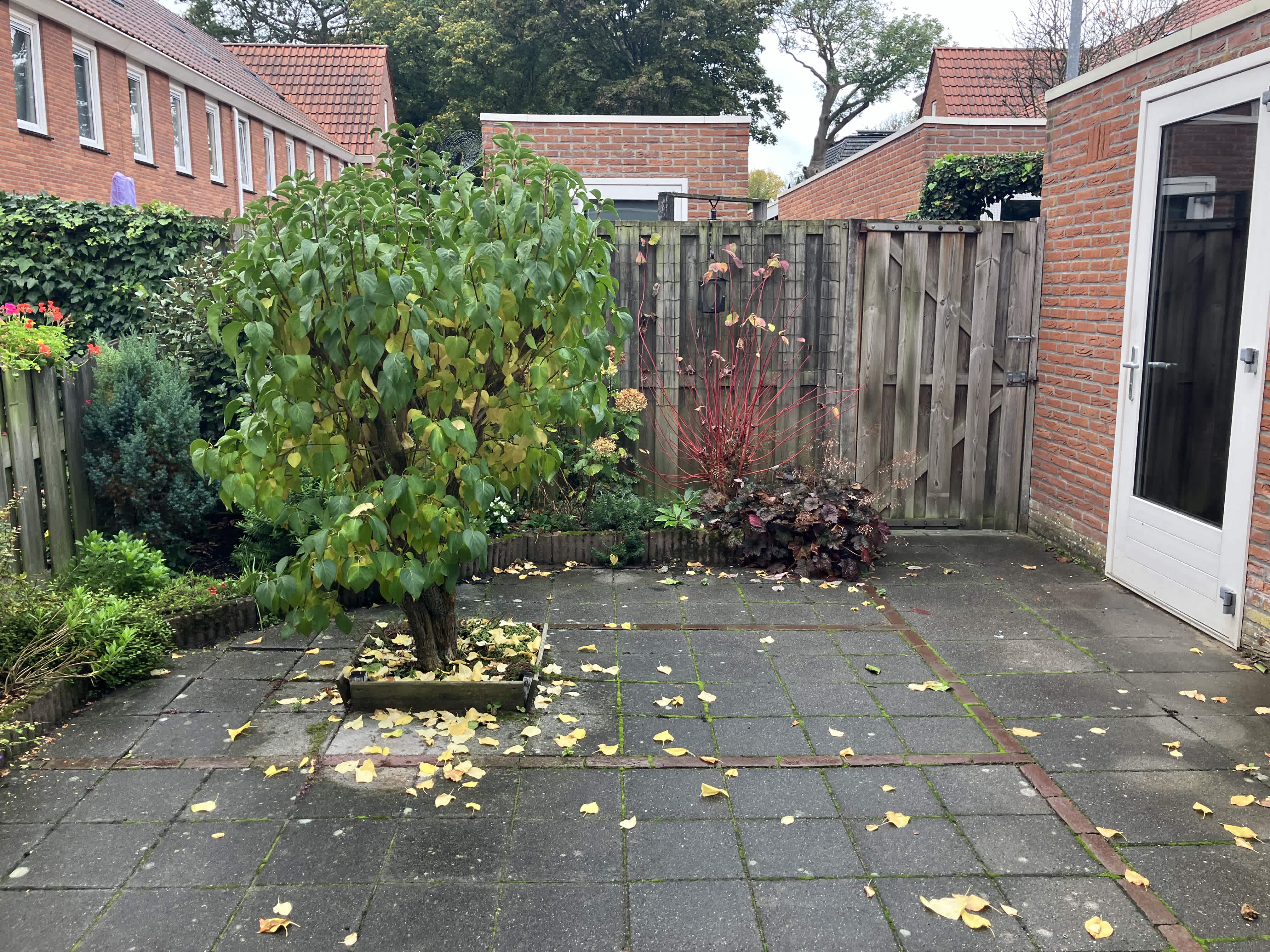 Wilhelminaplein 5 - Bennebroek