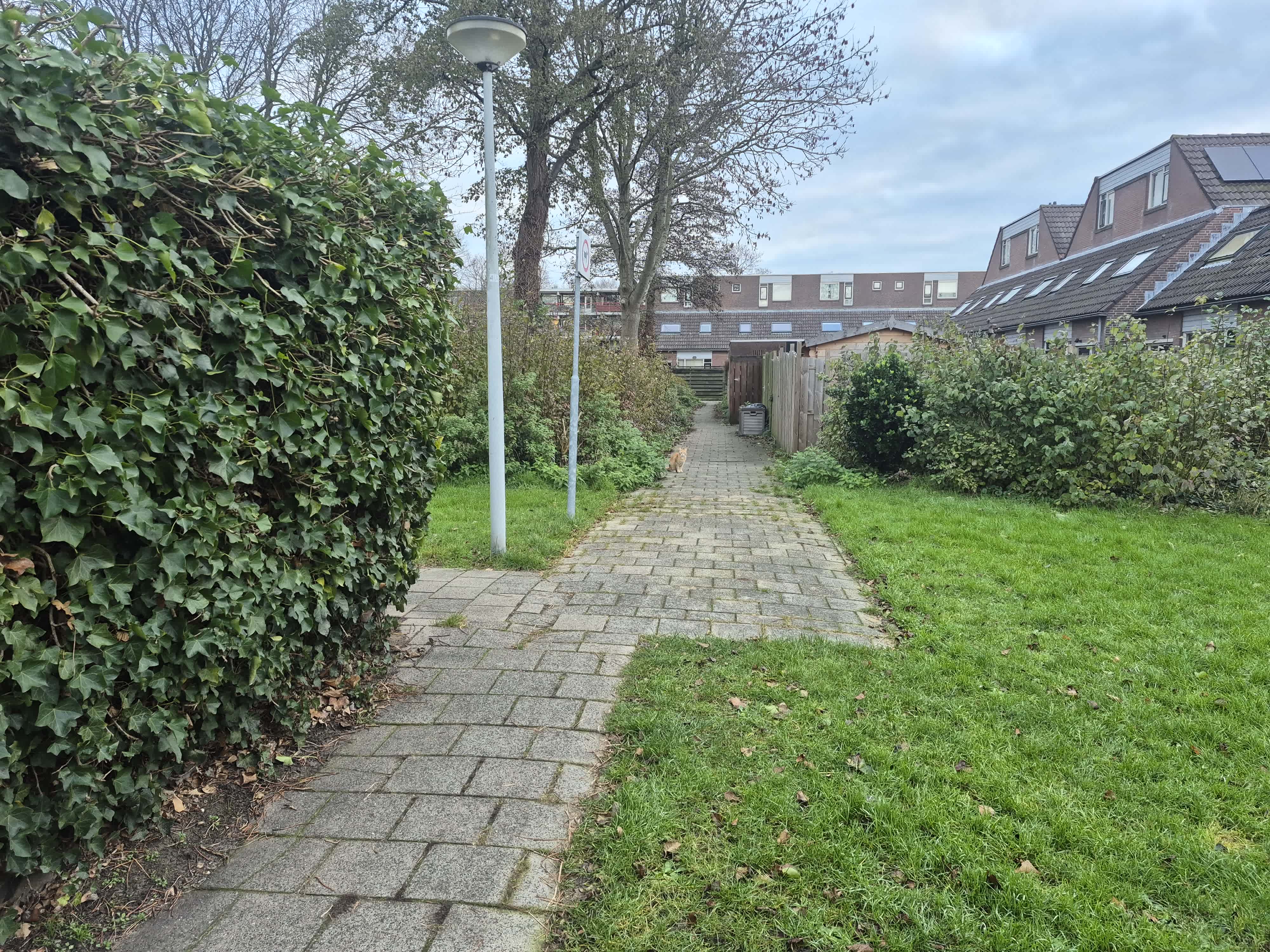 Houtland 9 - Koog aan de Zaan