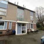 Breedweerlaan 201 - Heemskerk