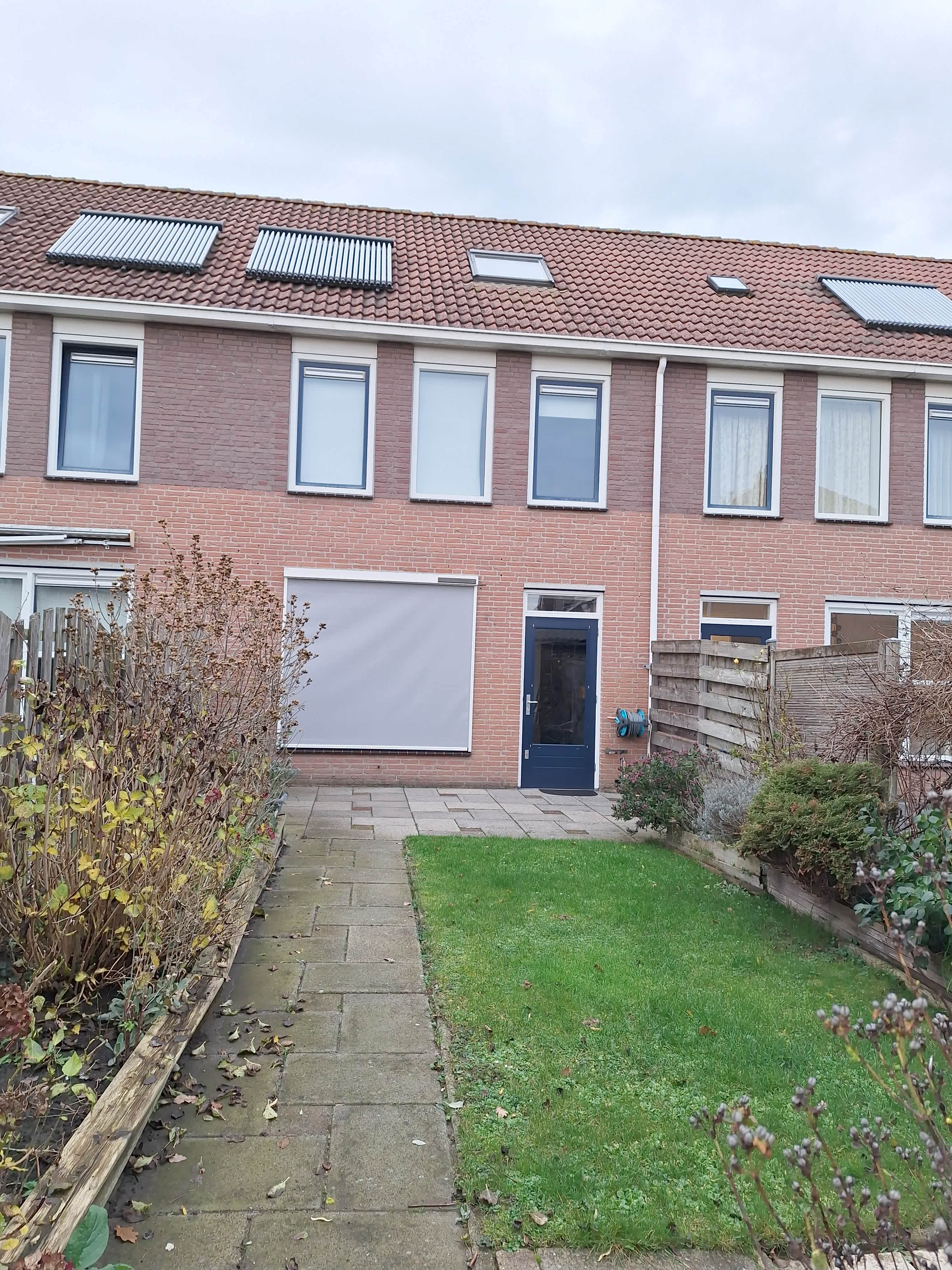 Kruisdistel 12 - Tiel