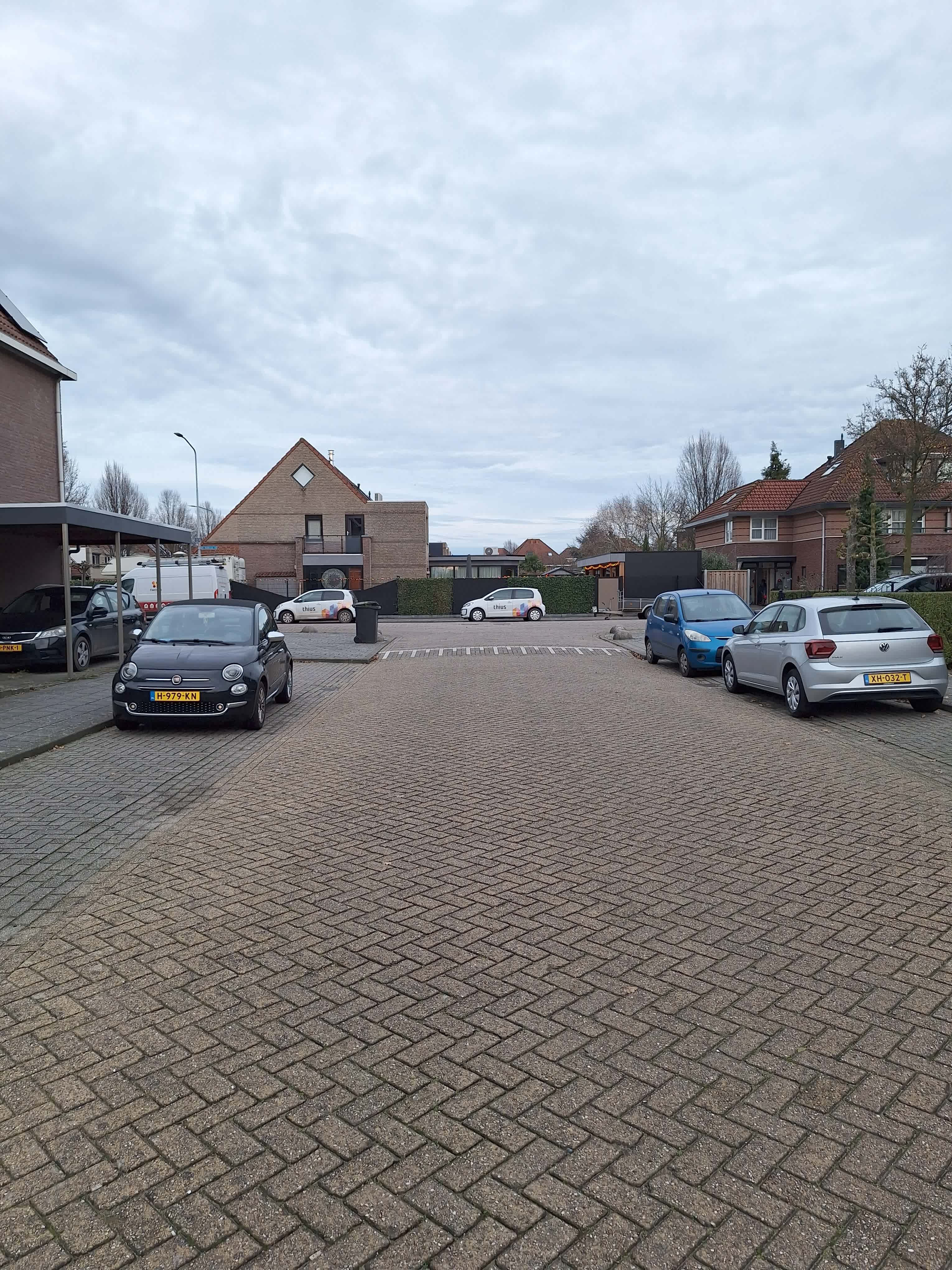 Kruisdistel 12 - Tiel