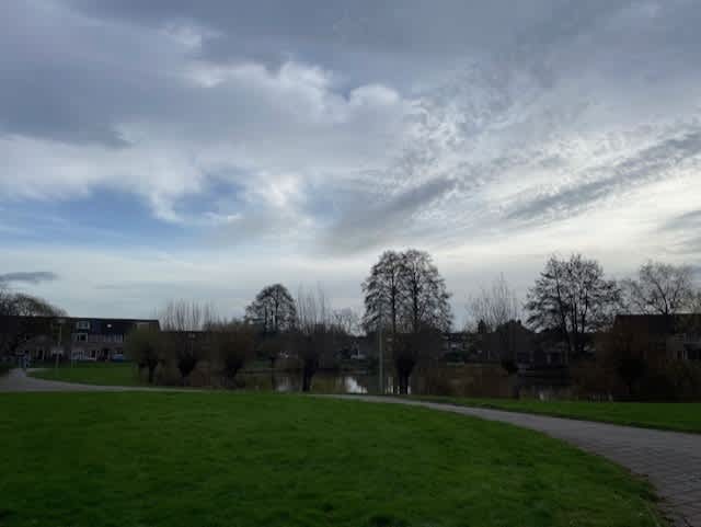 Wethouder Zandbergenlaan 81 - Barneveld