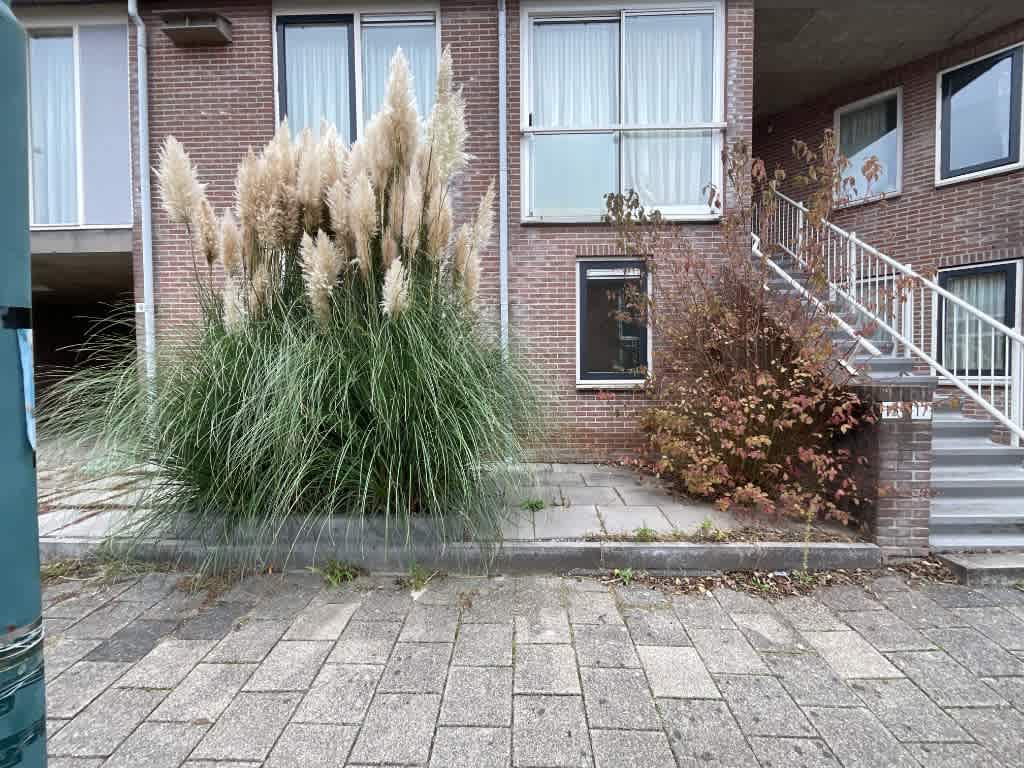 Wilgestraat 11 - Lopik