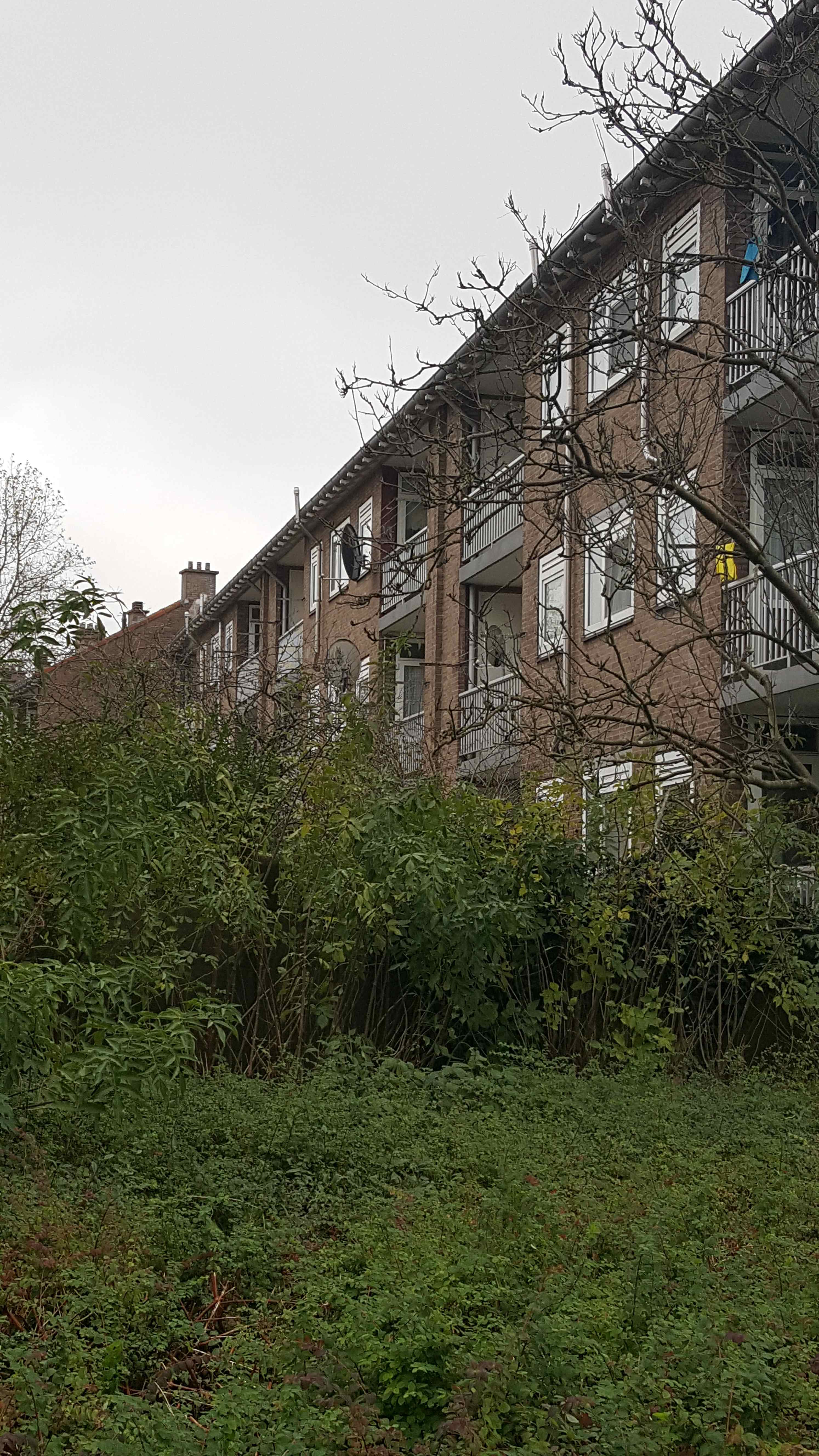 Serooskerkestraat 87 - Krommenie