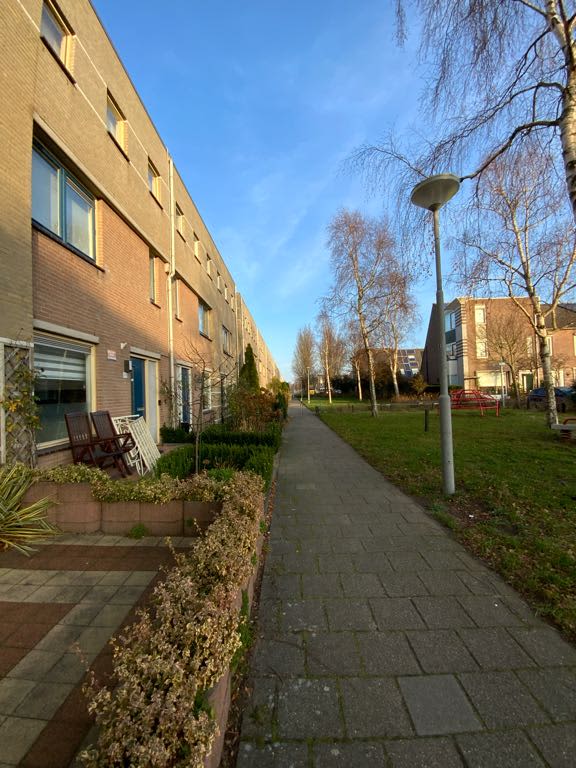 Groene Specht 70 - Heemskerk