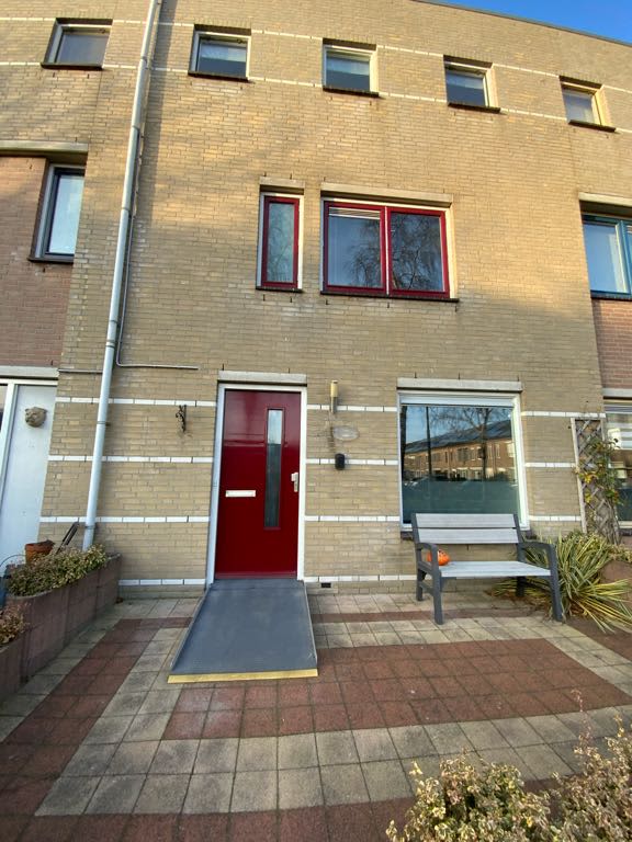 Groene Specht 70 - Heemskerk