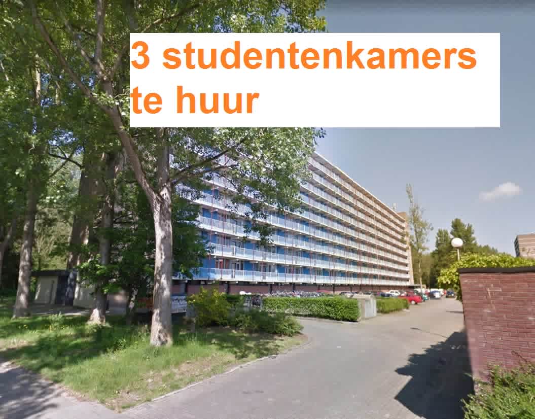 Saffierstraat 232 - Groningen