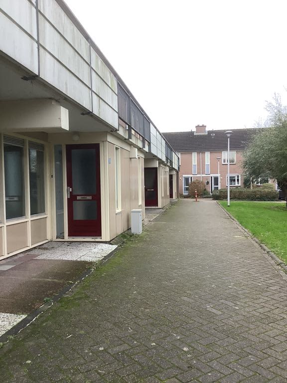 Krulmos 11 - Alblasserdam