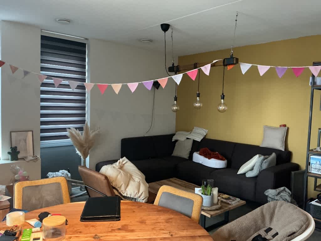 De Lafayettestraat 31 - Vianen