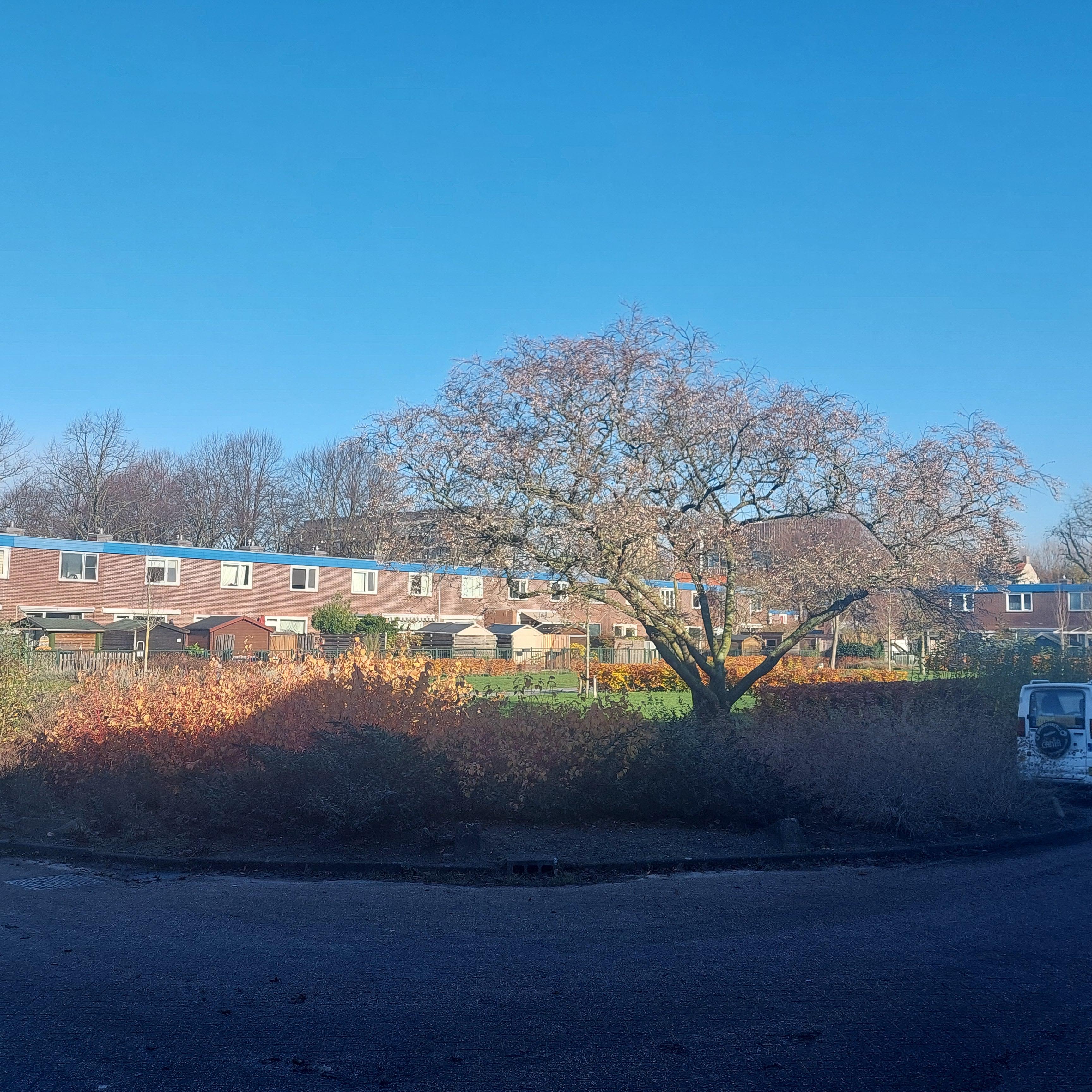 Adam van Germezhof 17 - Amsterdam