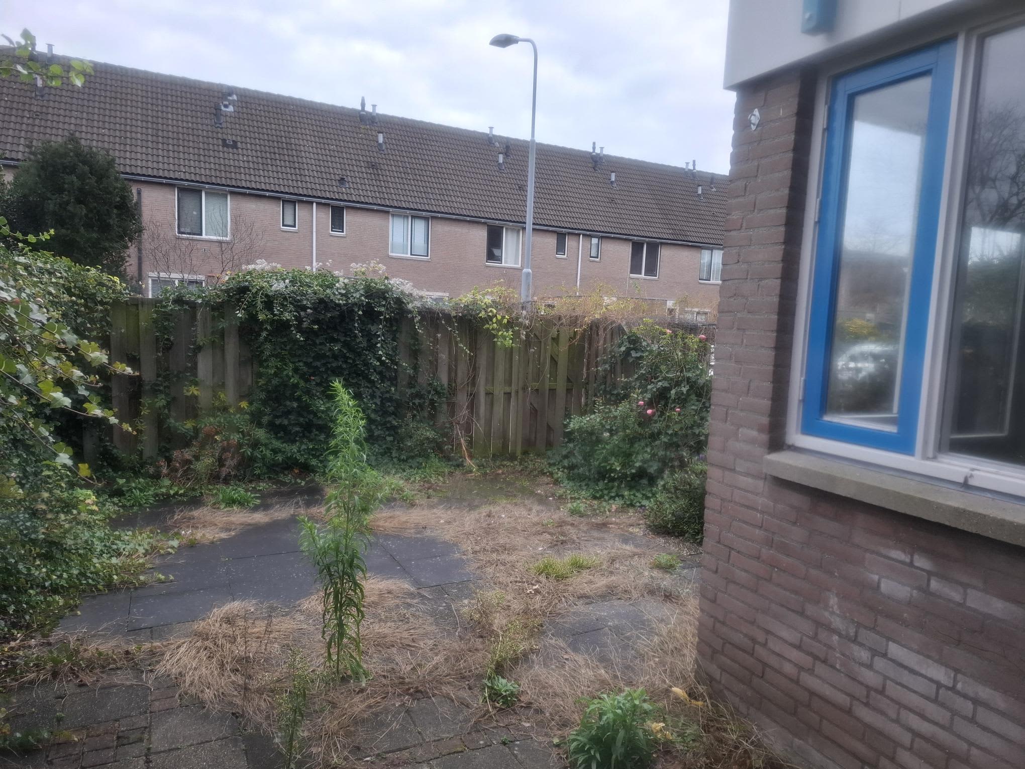 Rietstraat 42 - Lisserbroek