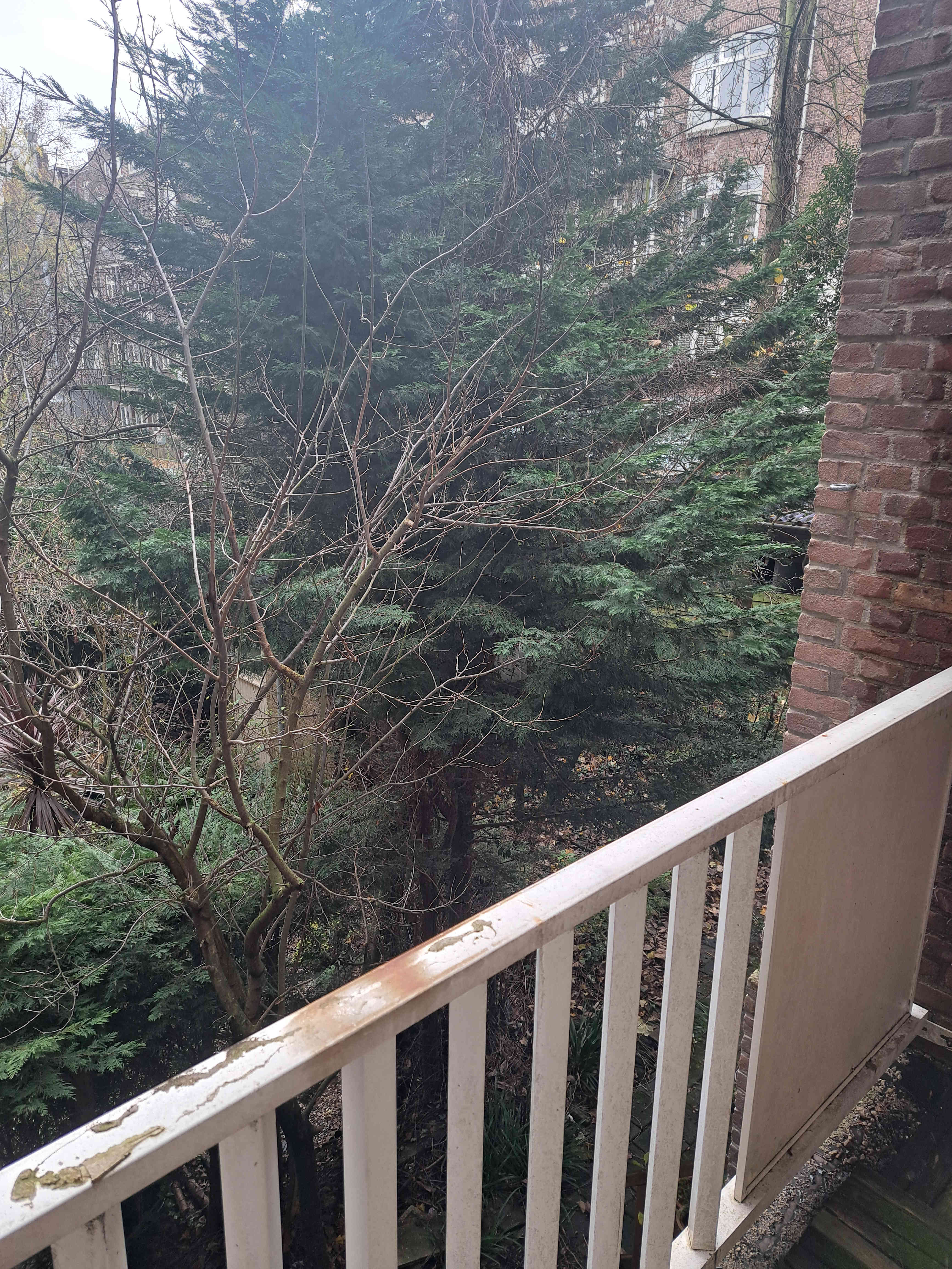 Amstelkade 29E-1 - Amsterdam