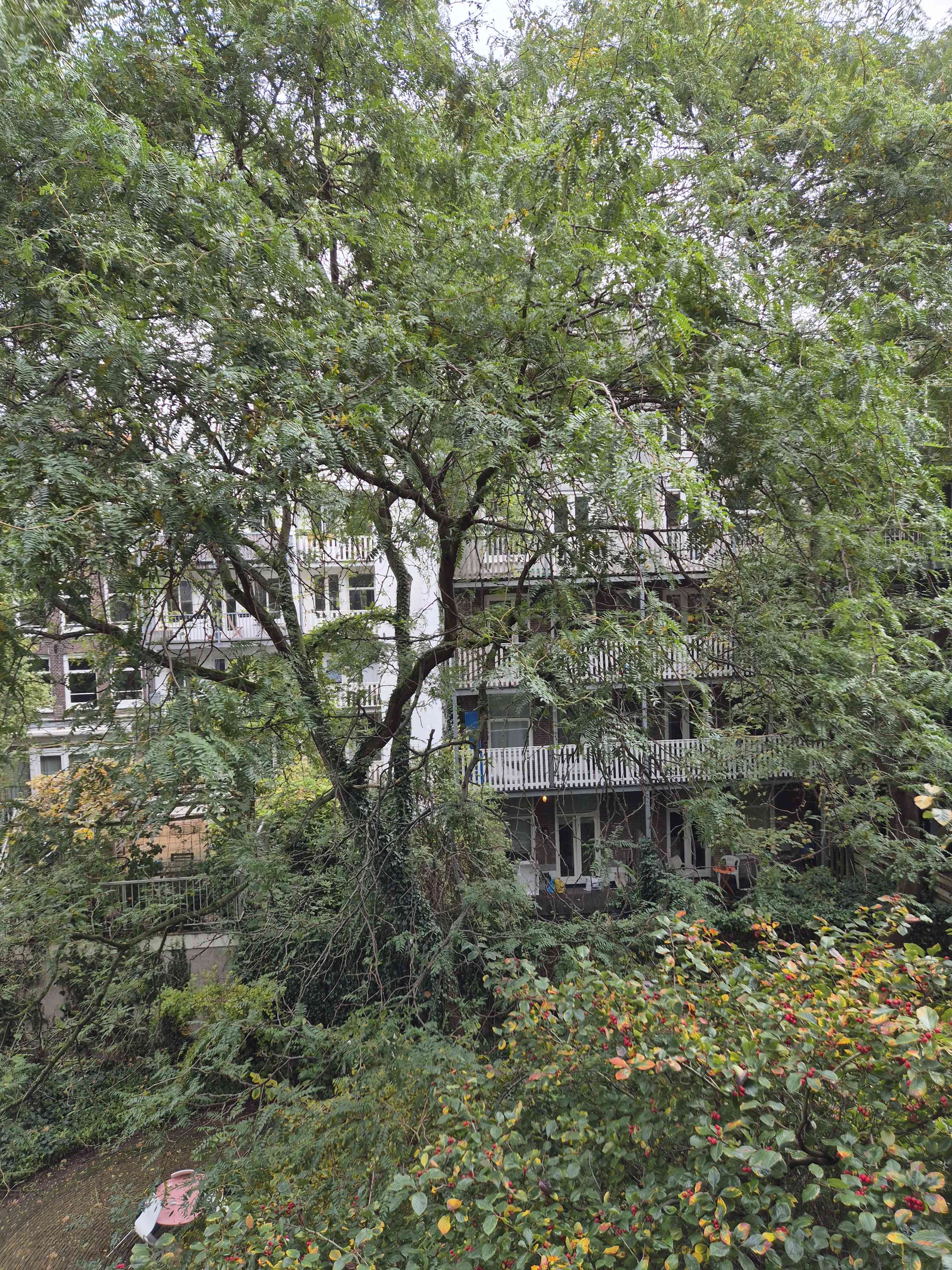 Da Costakade 191-C - Amsterdam