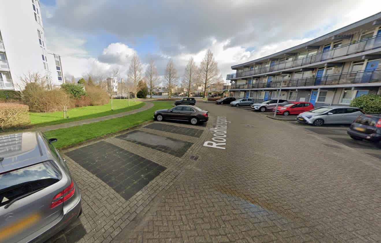 Roodhalsgans 155 - Uithoorn