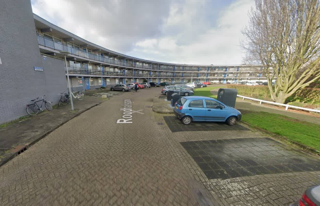 Roodhalsgans 155 - Uithoorn