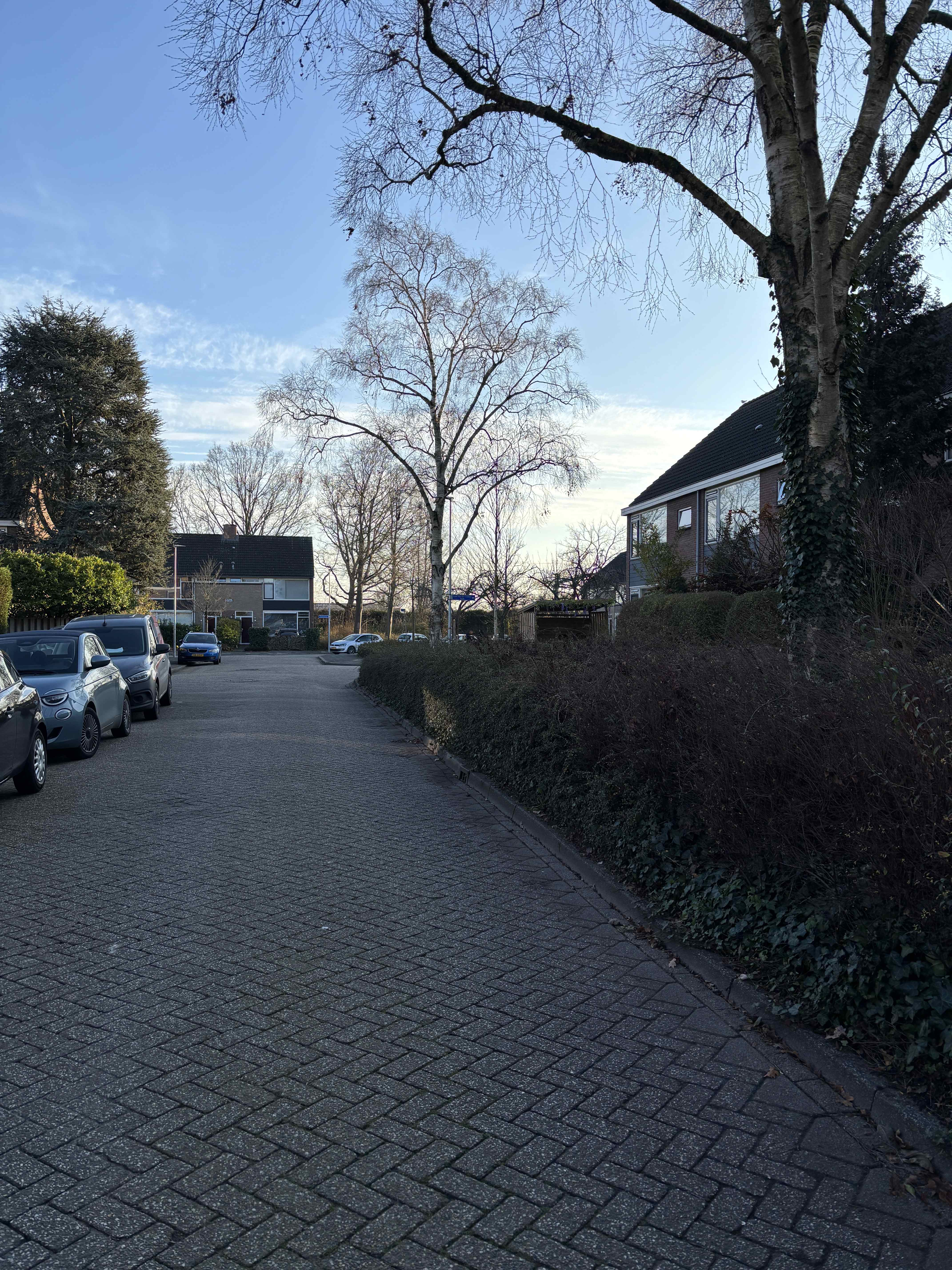 Groen van Prinstererlaan 13 - Woerden