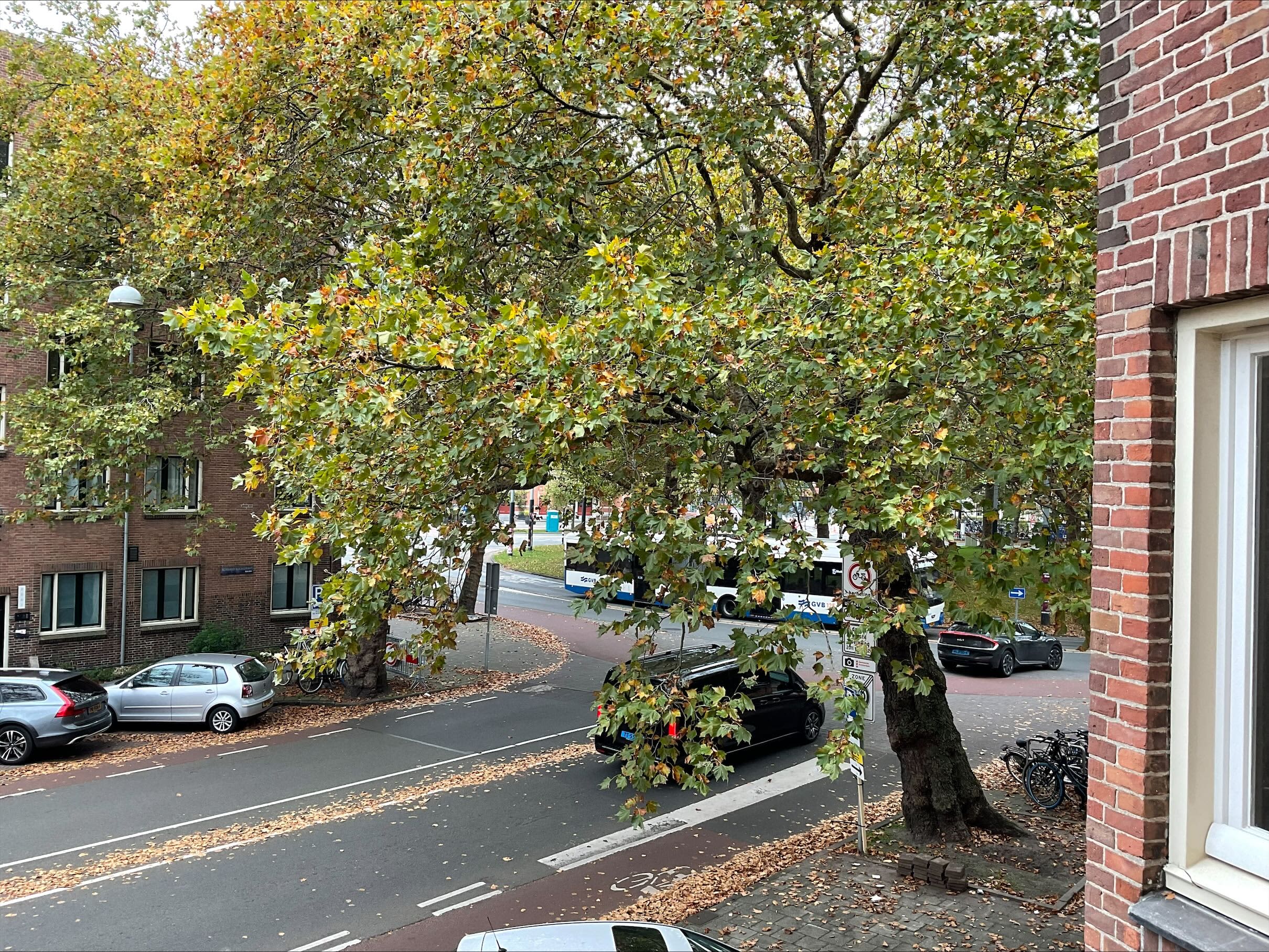 Bernard Kochstraat 51 - Amsterdam