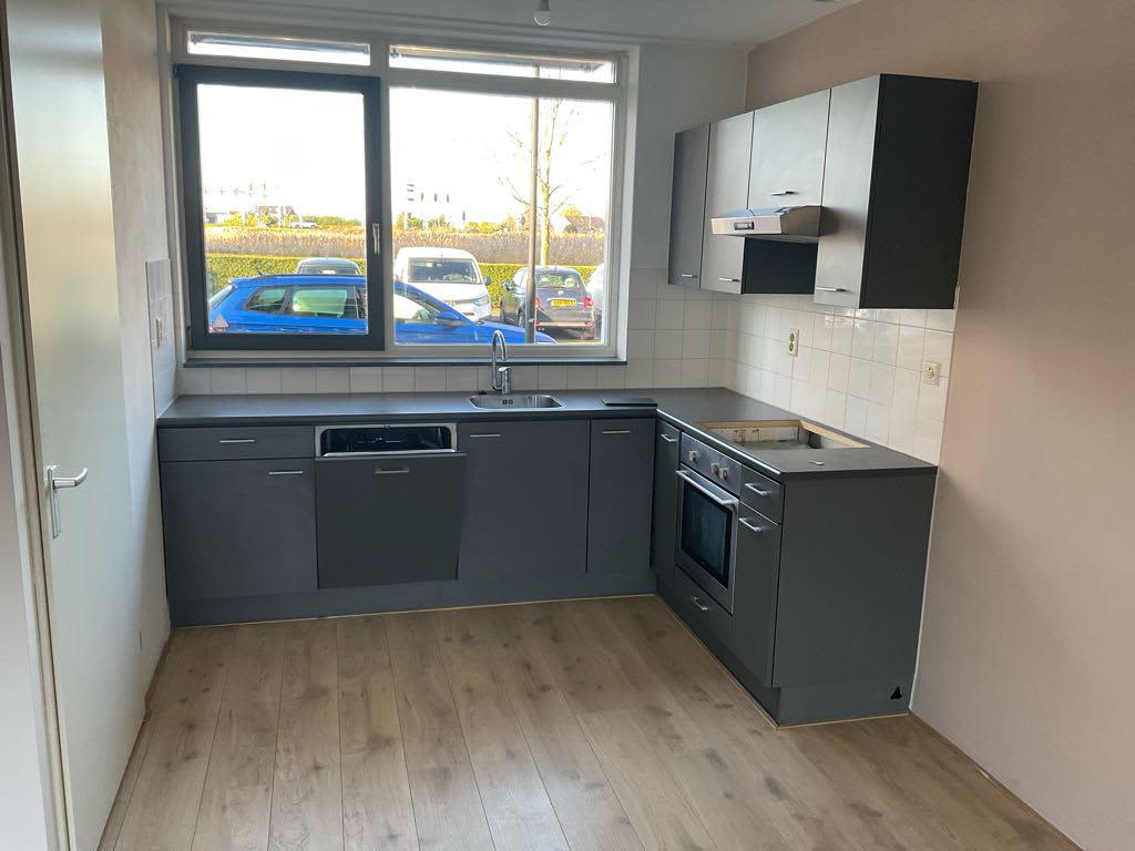 Ringslang 84 - Amstelveen