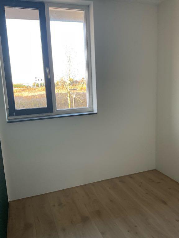 Ringslang 84 - Amstelveen