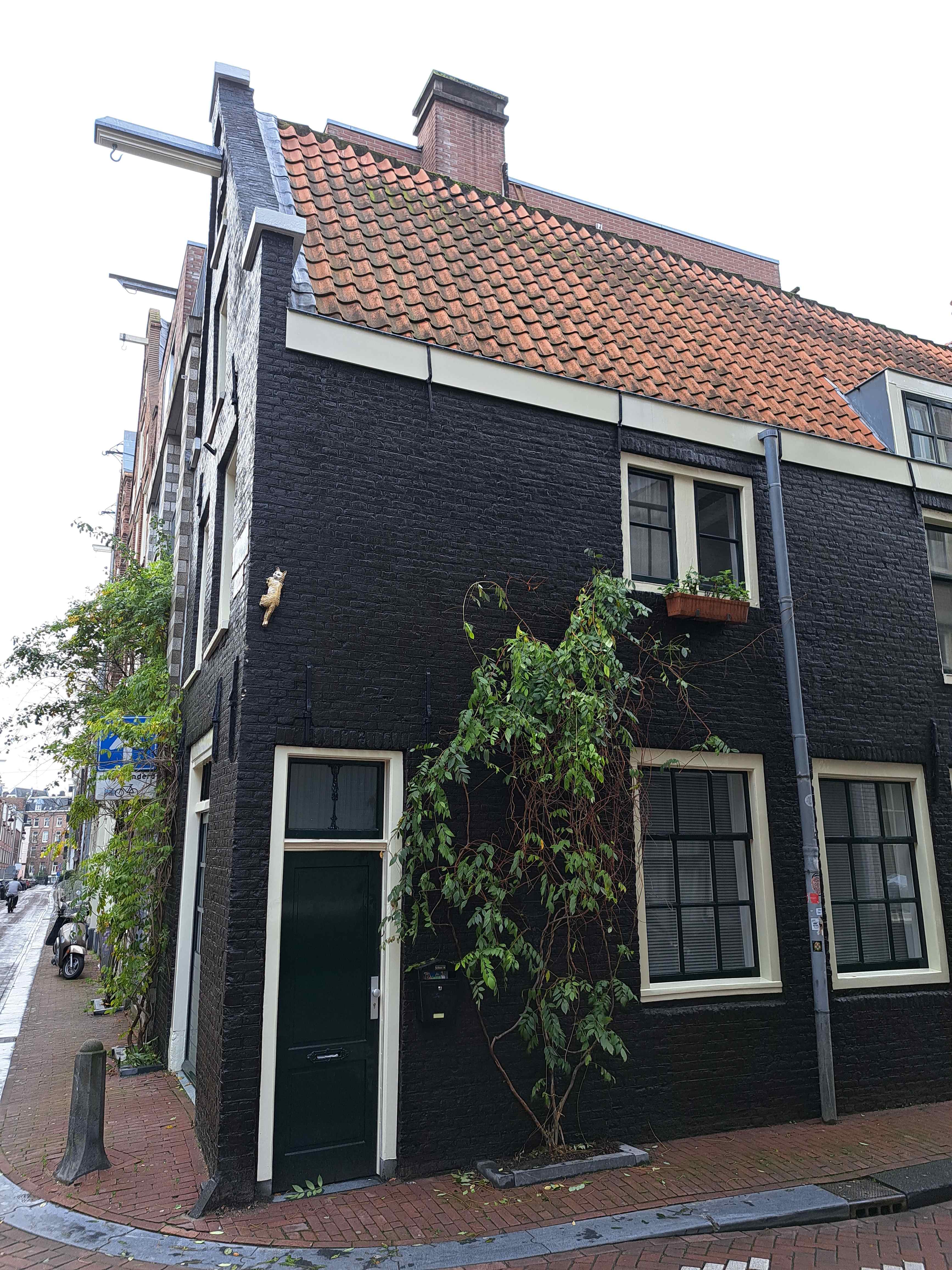 Tweede Bloemdwarsstraat 18-B - Amsterdam