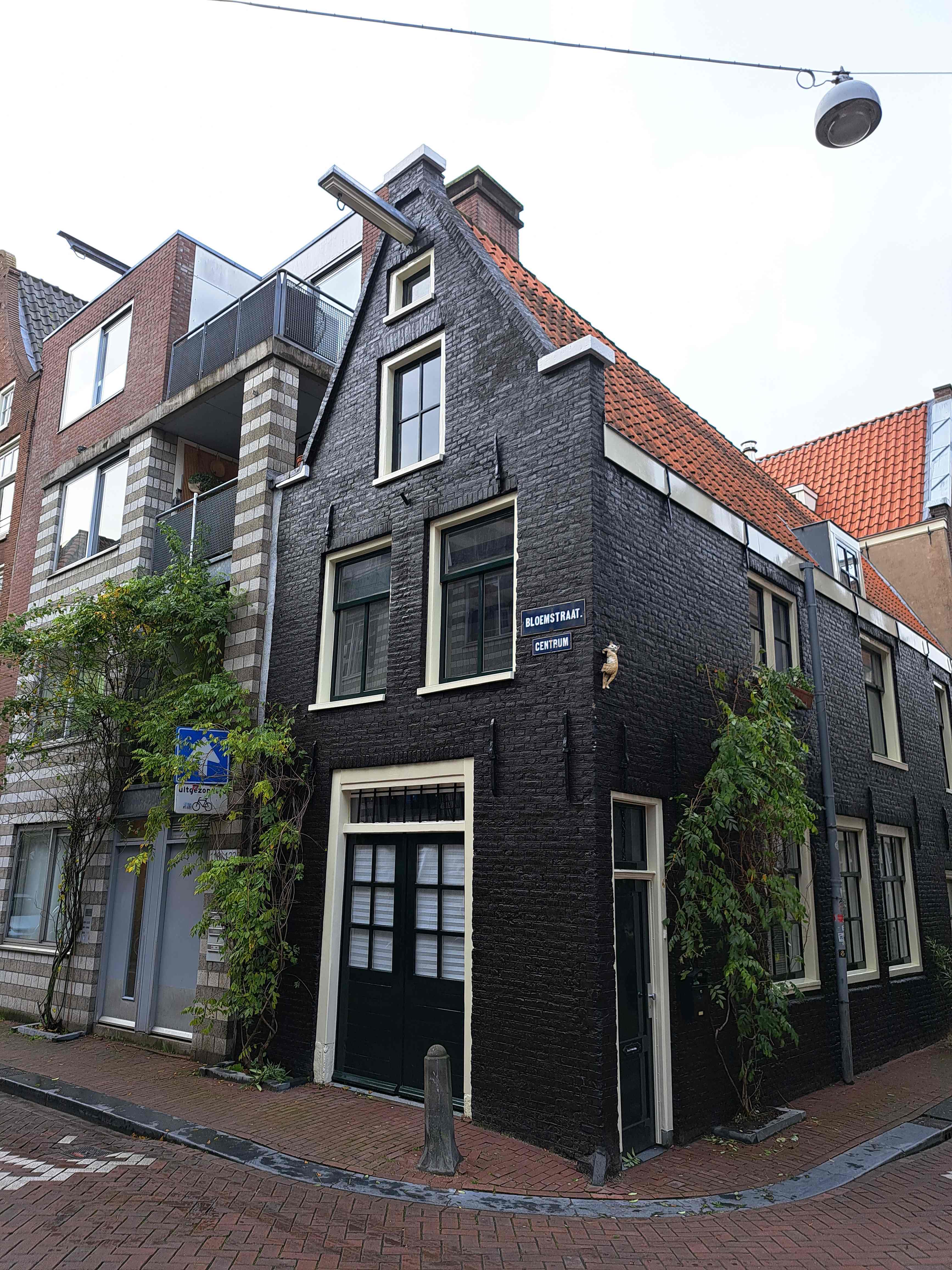 Tweede Bloemdwarsstraat 18-B - Amsterdam