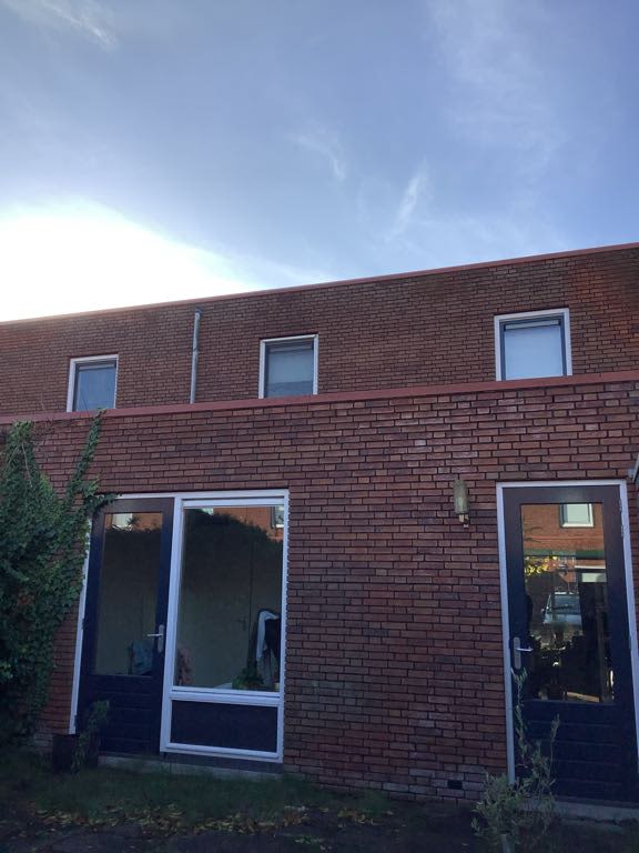 Snoek 7 - Papendrecht