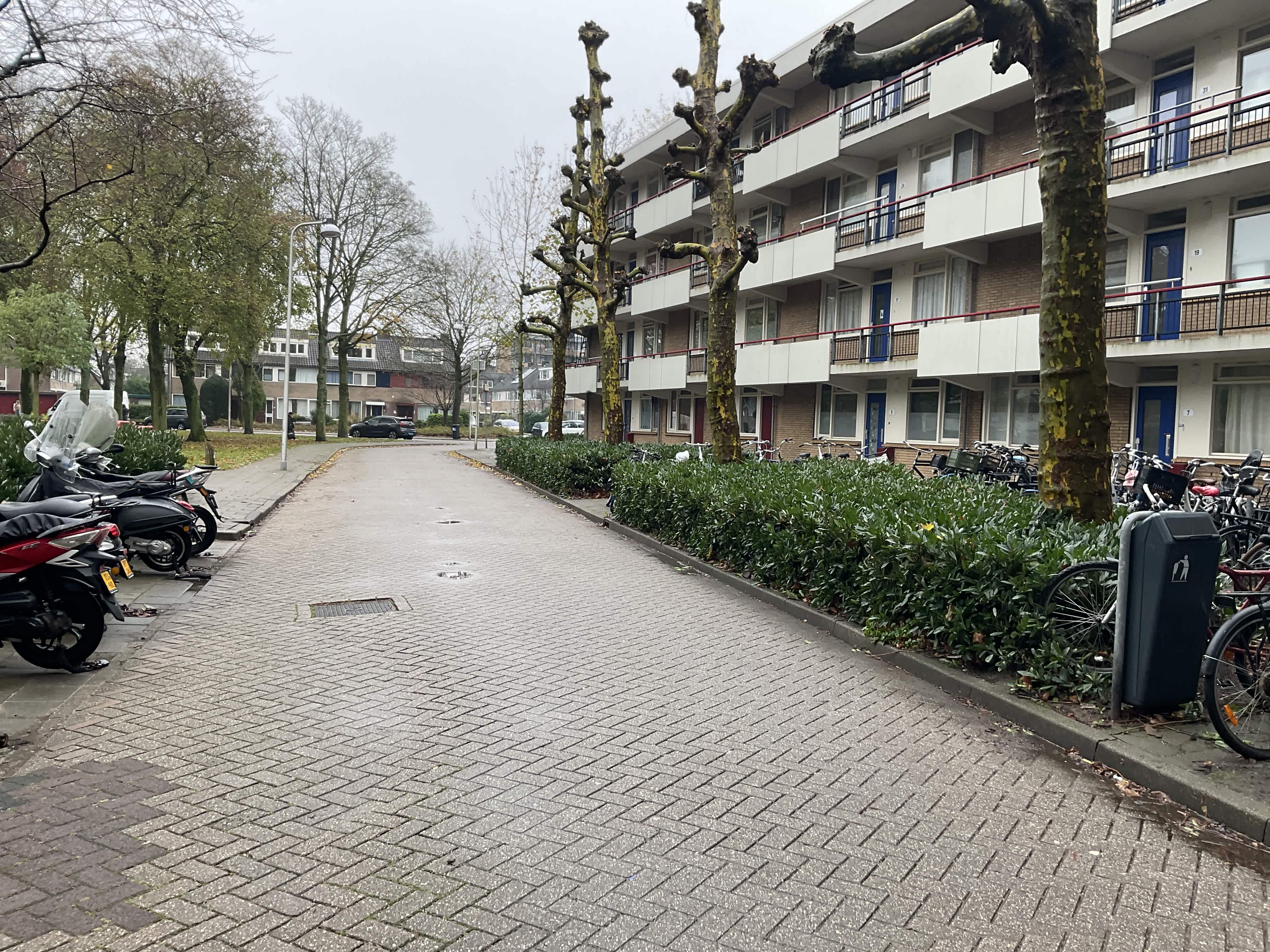 Rode Kruislaan 11 - Diemen