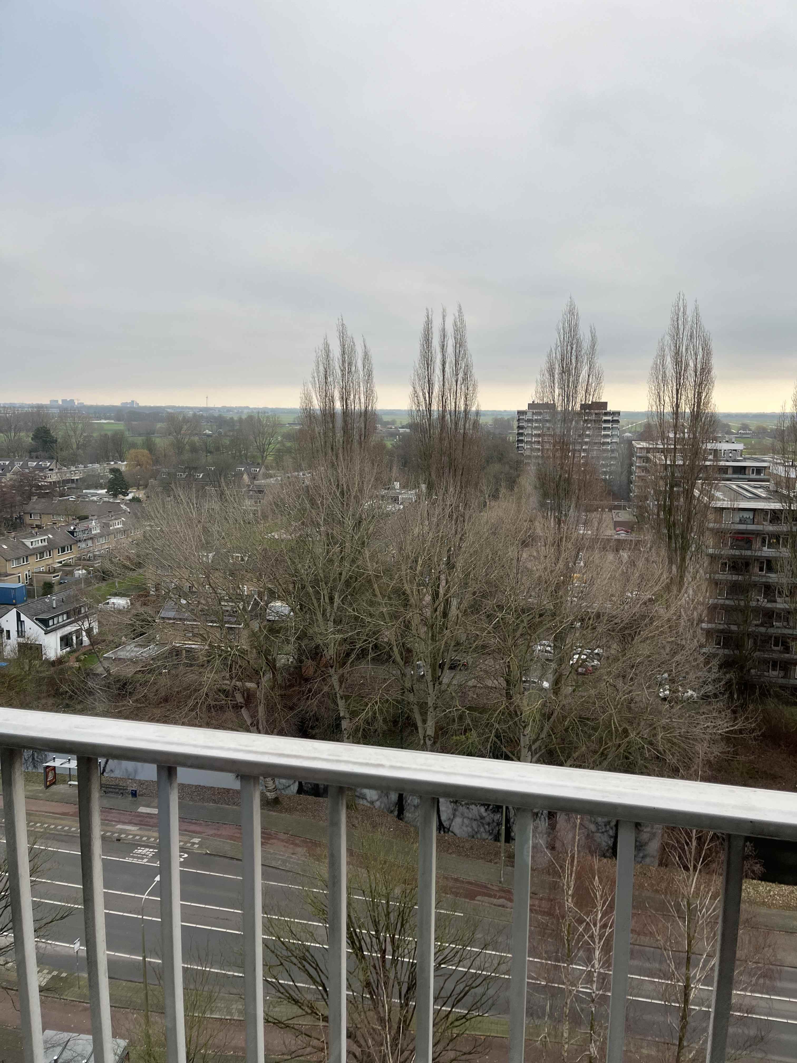 Seine 100 - Amstelveen