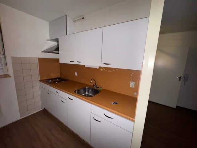 Zebraspoor 276 - Maarssen