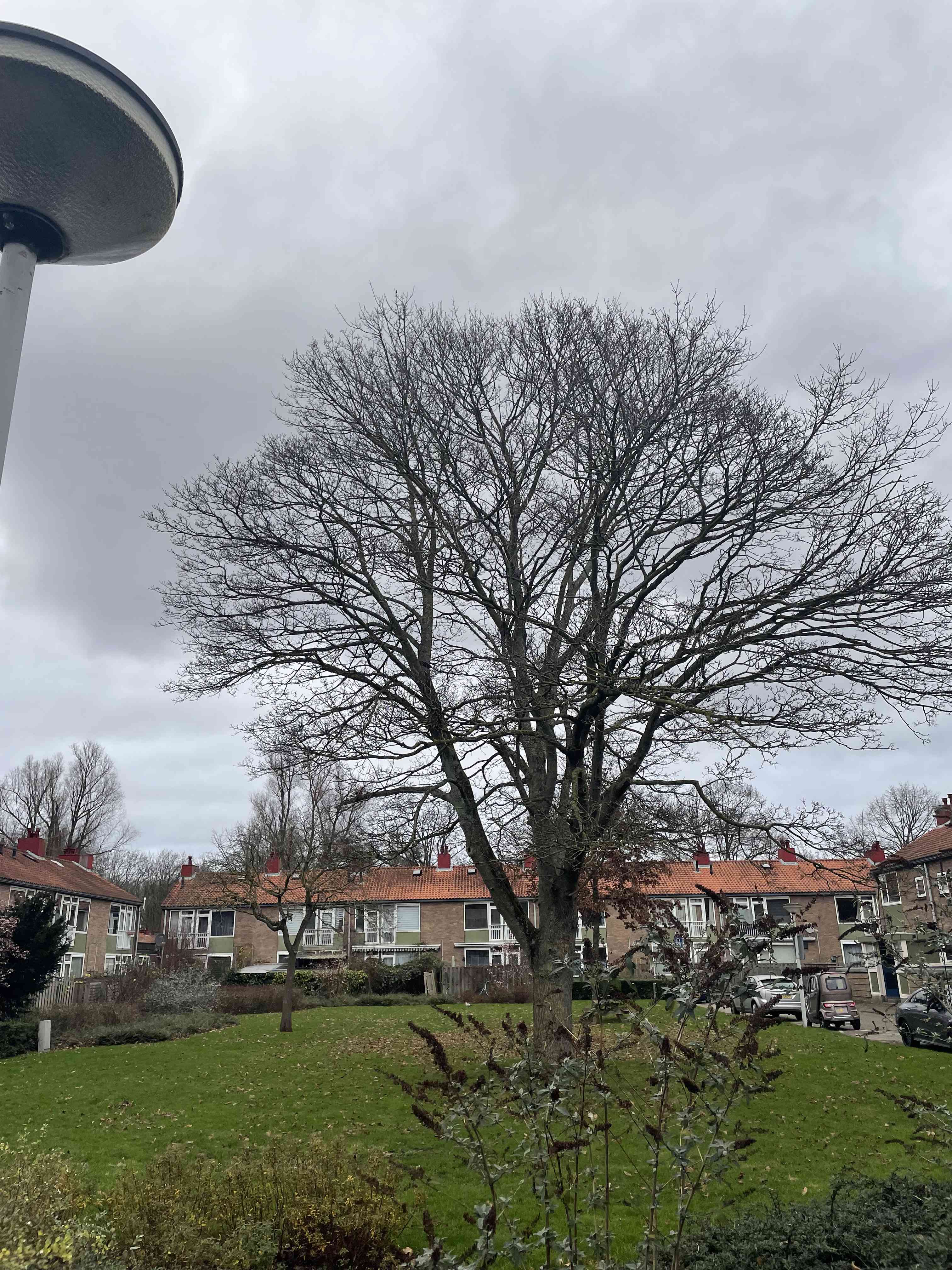 Marianne Philipsstraat 9-1 - Amsterdam