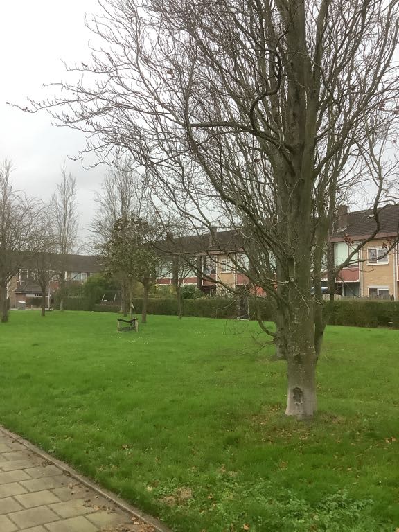 Zuiderkruisstraat 25 - Zwijndrecht