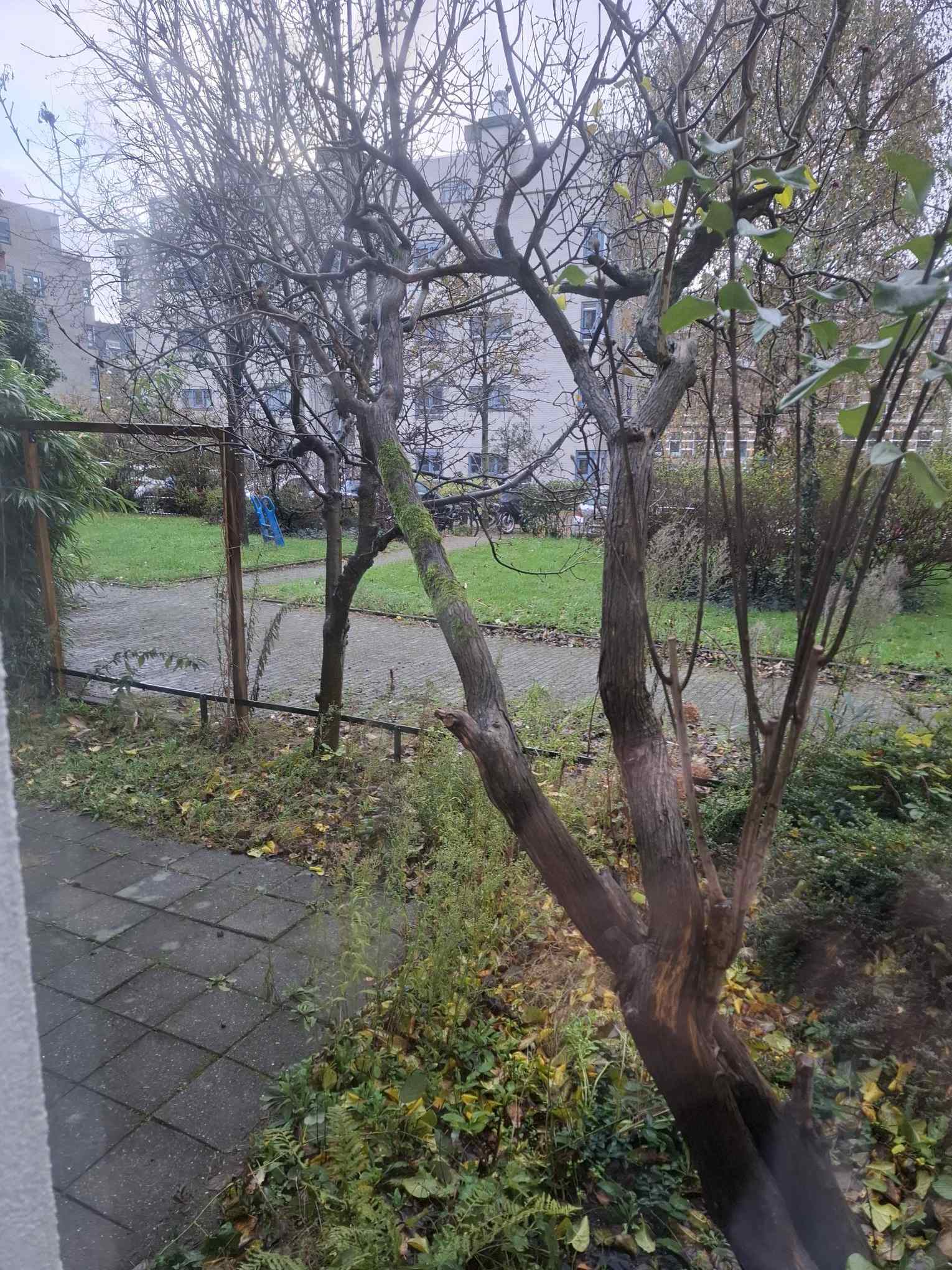 Sarphatistraat 282 - Amsterdam