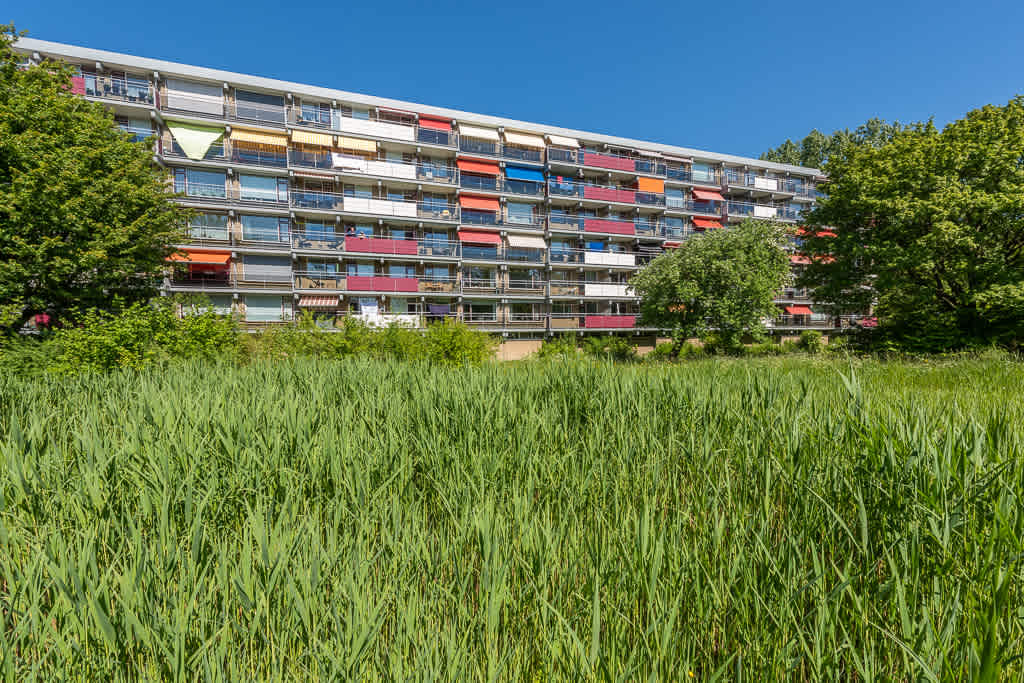 Ridder van Catsweg 289 - Gouda