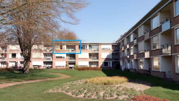 Oldenoert 34-214 - Leek