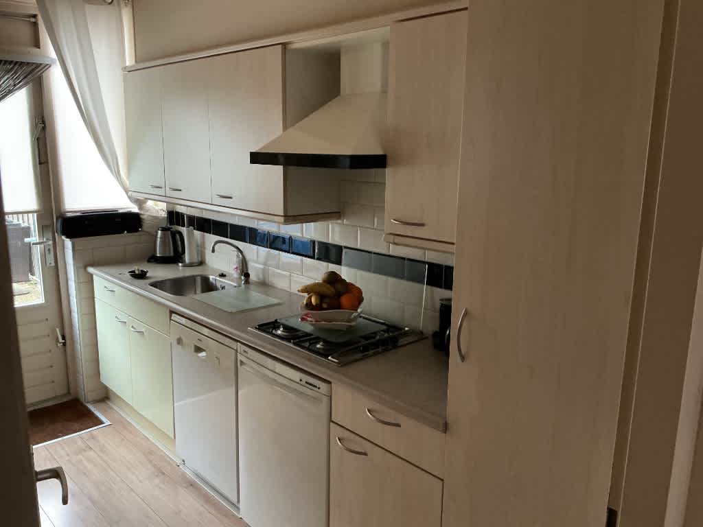 Wendelaar 18 - Vianen