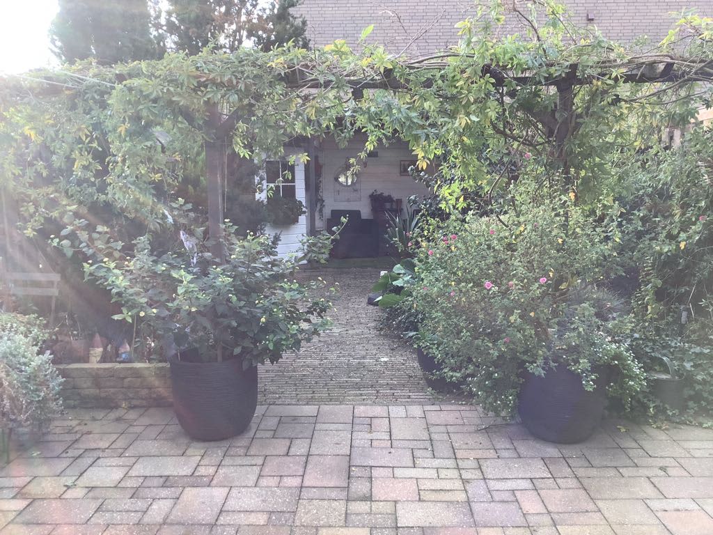 Zeelt 149 - Alblasserdam