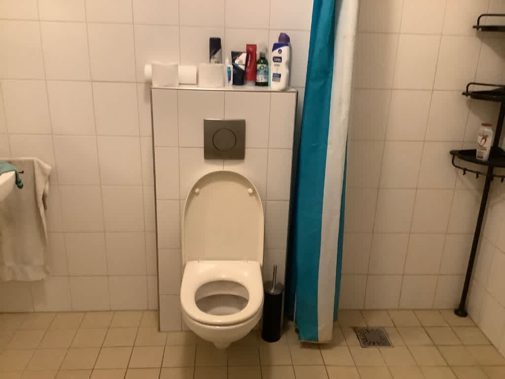 Weesdijk 8B - Vianen