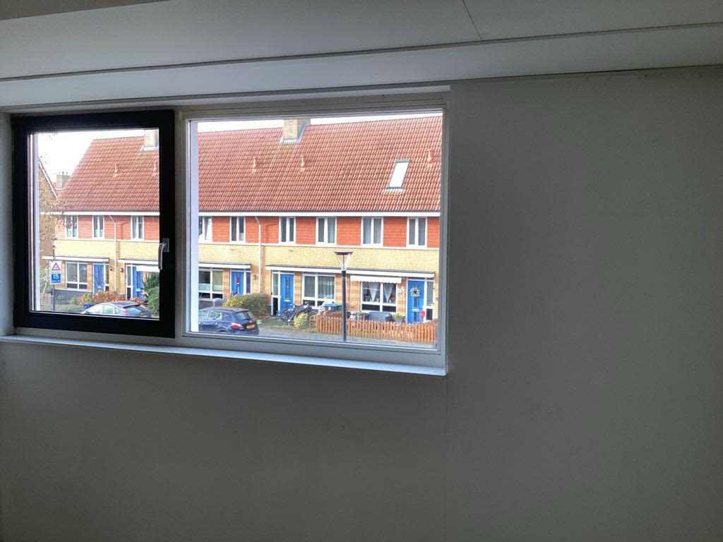 Ringslang 5 - Amstelveen