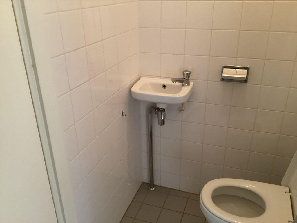 Ringslang 5 - Amstelveen