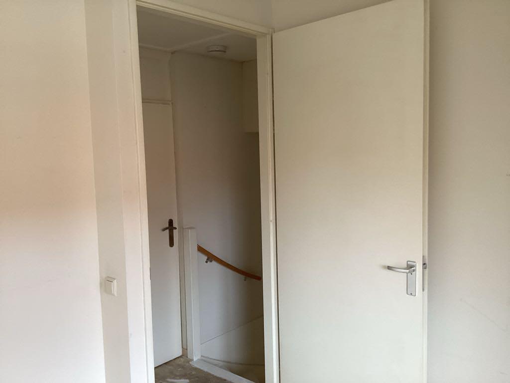 Ringslang 5 - Amstelveen