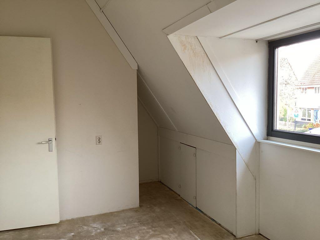 Ringslang 5 - Amstelveen