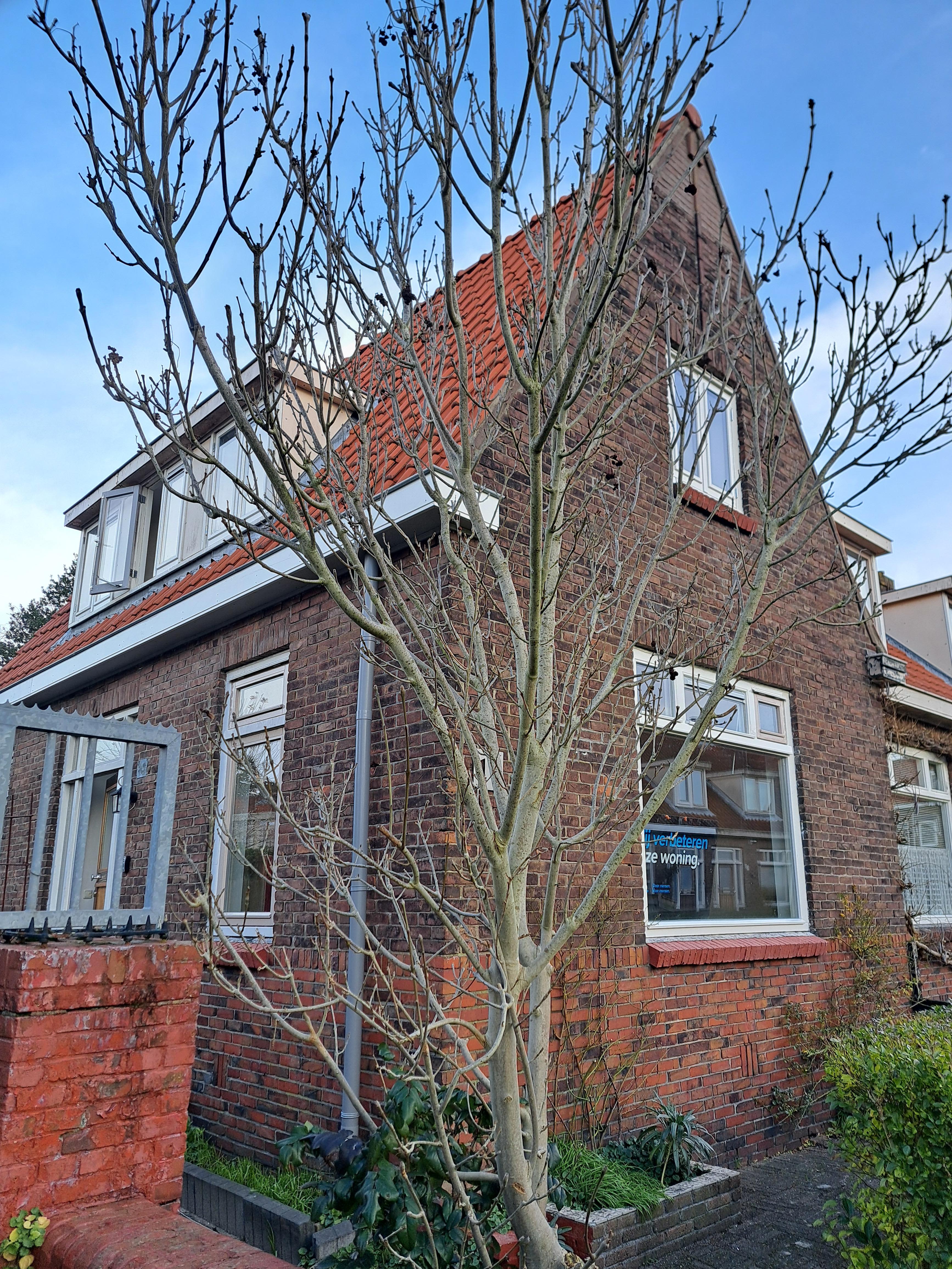 Papaverstraat 10 - Haarlem