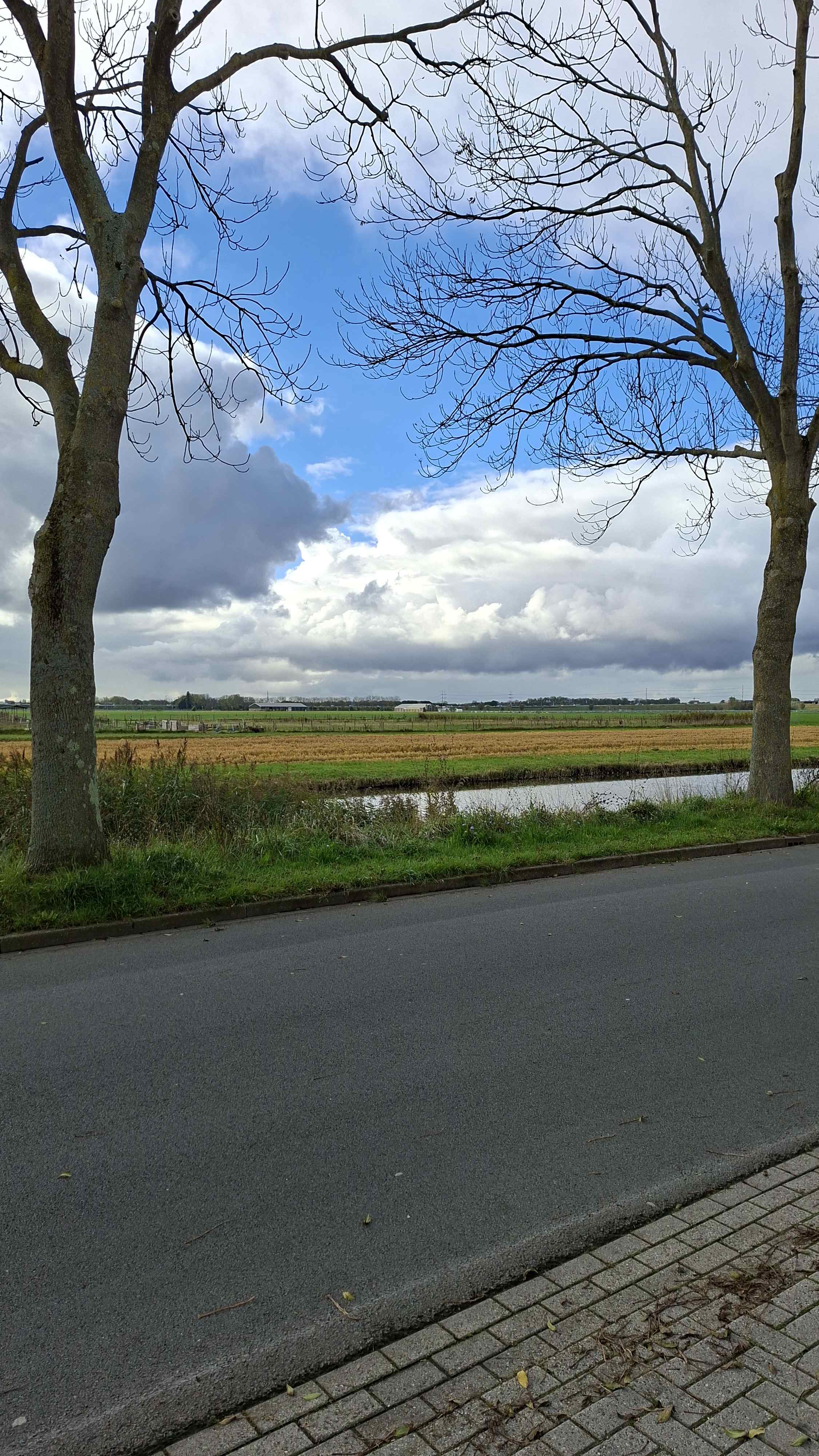 Inlaag 21 - Zwanenburg