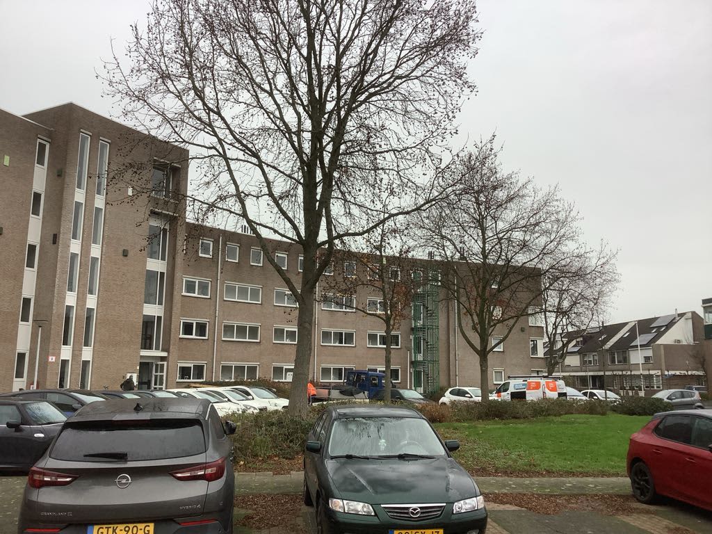 Bosbesplein 42 - Papendrecht