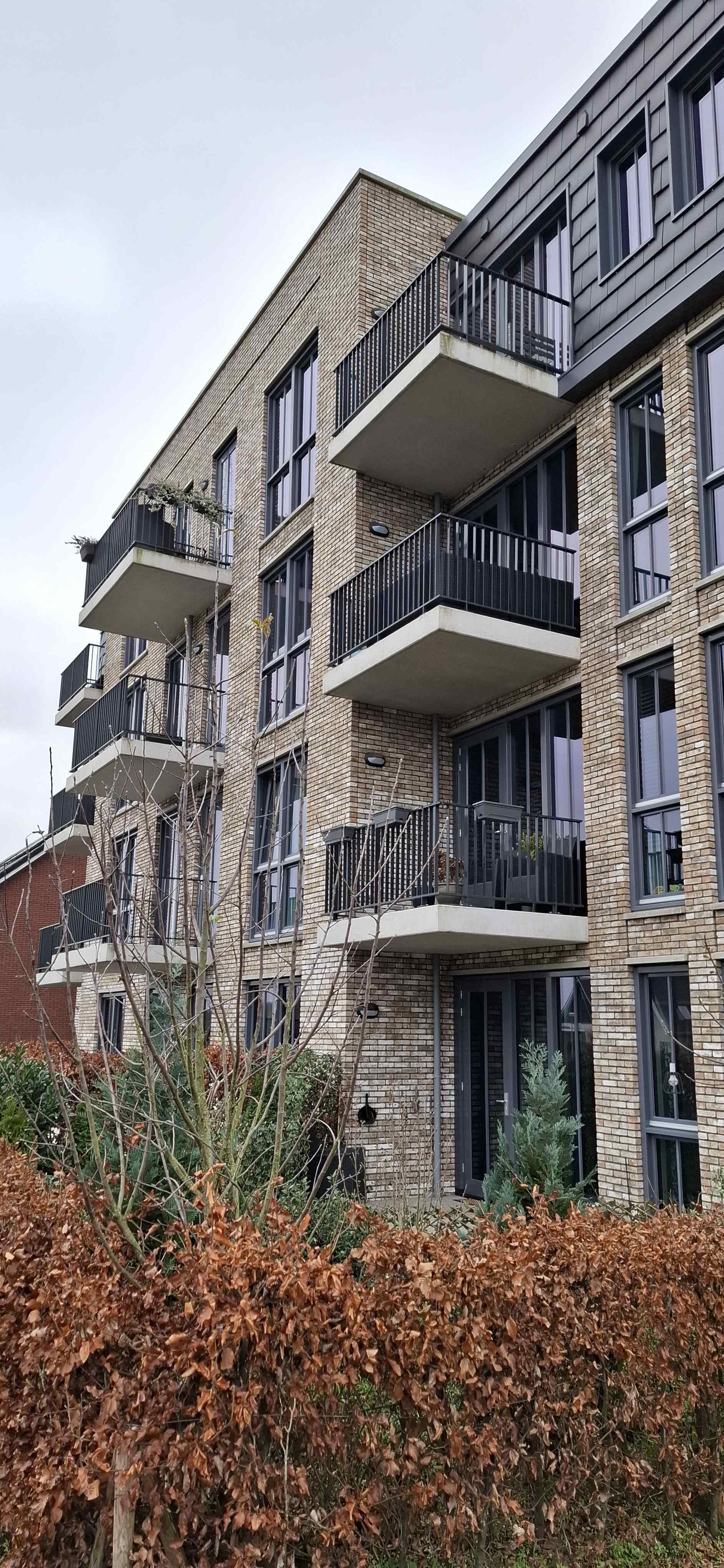 Veldhoek 35 - Achterveld