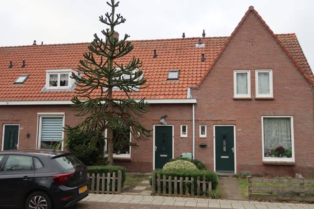 Vogelenzangseweg 304 - Vogelenzang