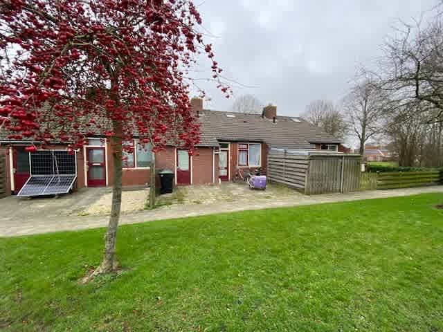 Weerhorn 2 - Mensingeweer