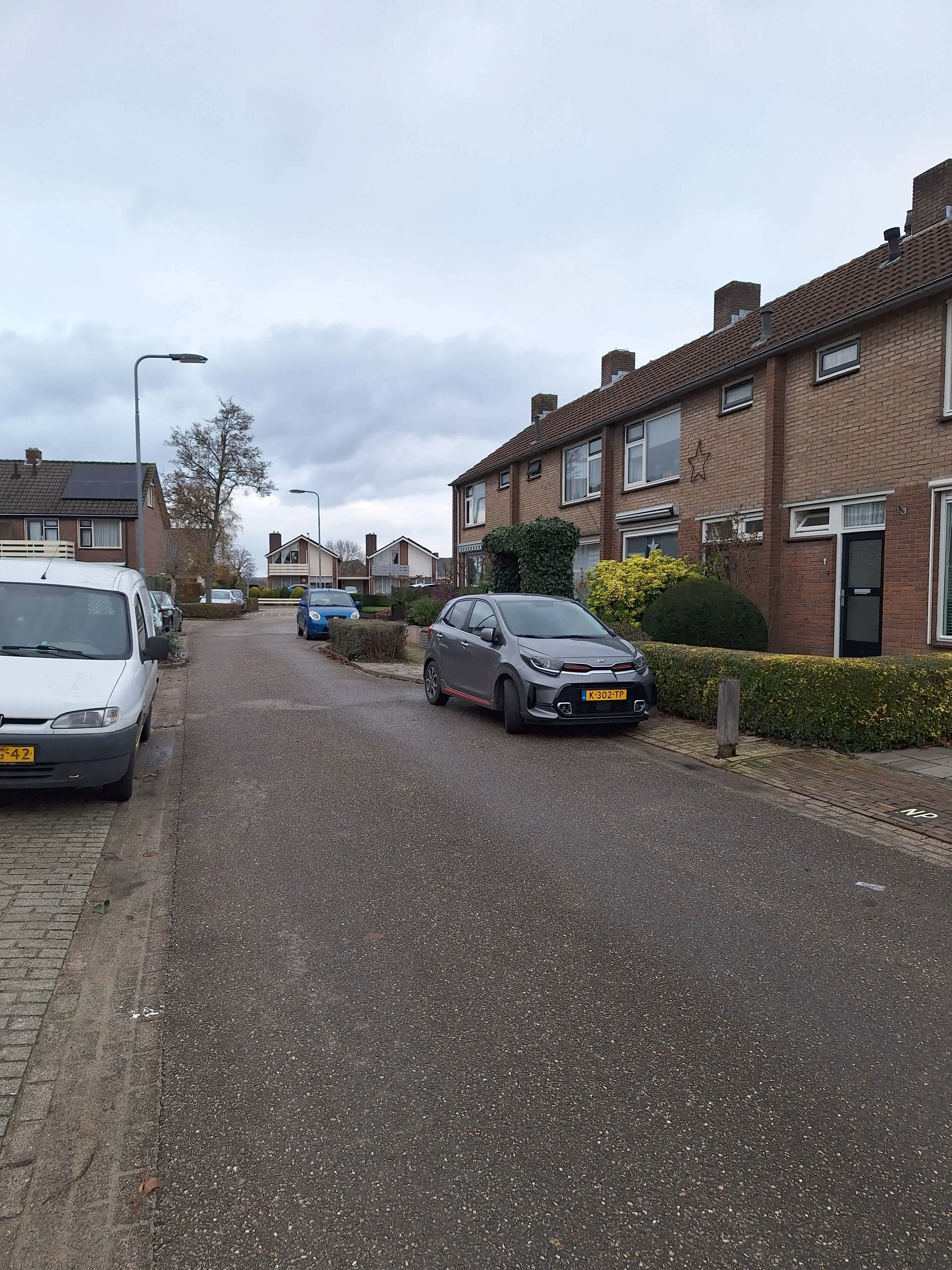 Tabaksland 10 - Ingen