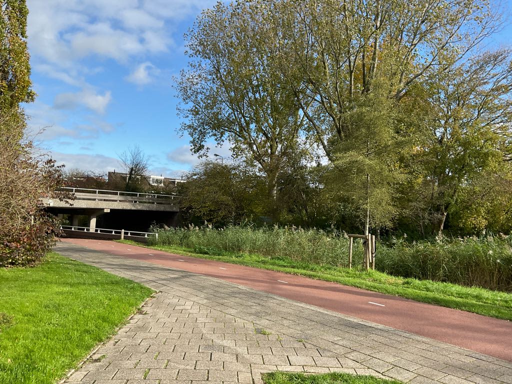 Zwanebloem 51 - Purmerend