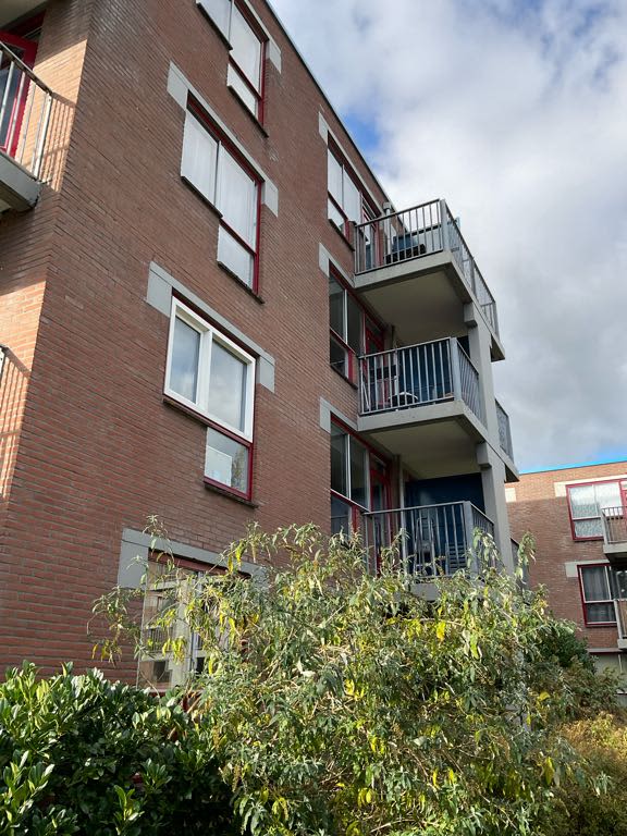 Zwanebloem 51 - Purmerend